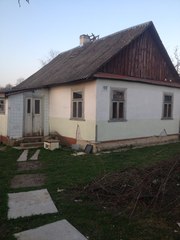 Готовый тепличный бизнес для выращивания огурцов-помидоров.