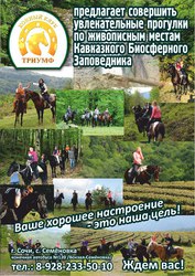 Конные прогулки в Сочи. Конный клуб ТРИУМФ Сочи. Лошади в Сочи