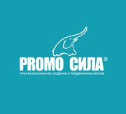 Комплексное продвижение и оптимизация сайта