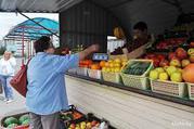 Продам лоток по продаже овощей и фруктов в минске